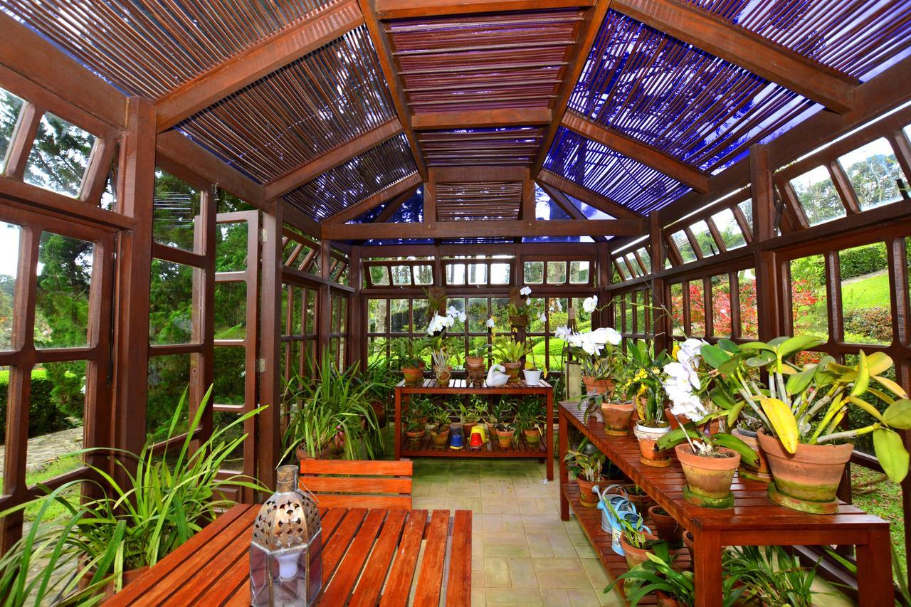 Roots Resort Monteverde Extérieur photo